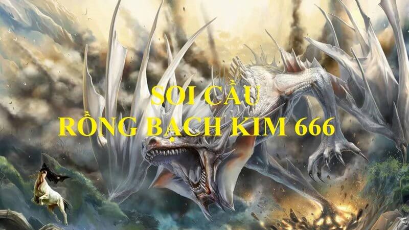 Cầu Bạch Kim 666 Huyền Bí Và Sức Mạnh Sâu Thẳm Của Số Học